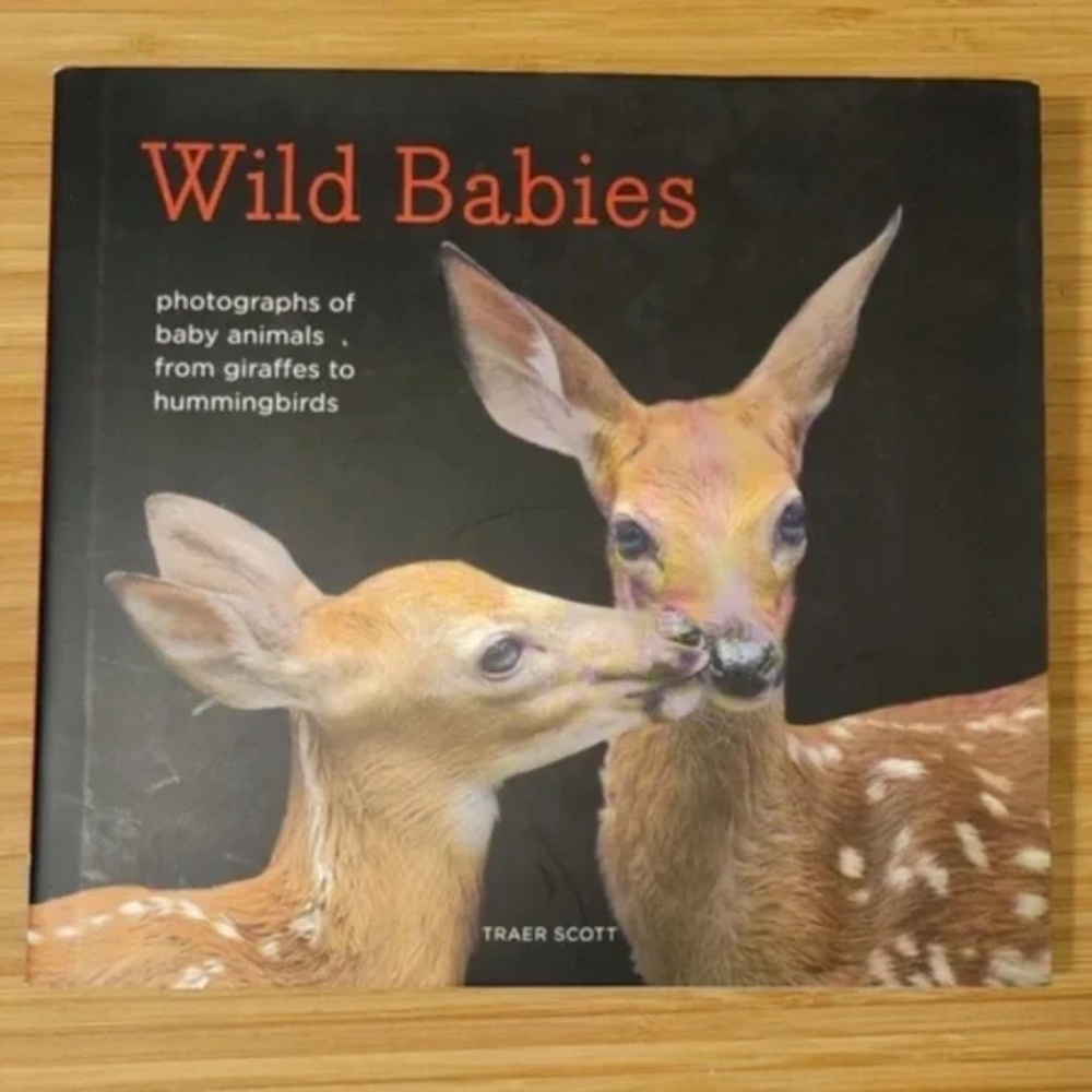 Gift Book Wild Babies